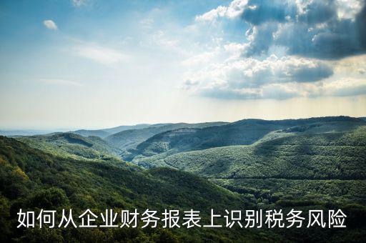 稅務(wù)風(fēng)險(xiǎn)核查是什么意思，虛開增值稅專用發(fā)票核查 什么意思