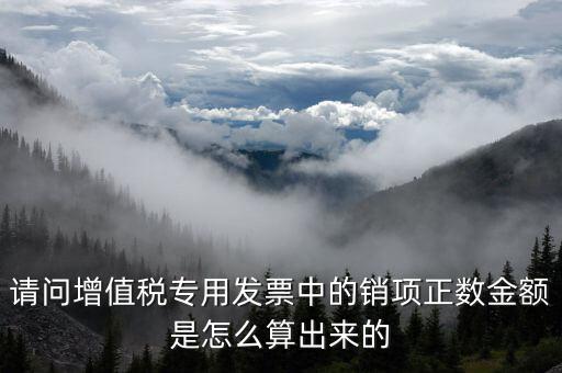 銷項(xiàng)正數(shù)金額是什么意思，銷項(xiàng)正數(shù)金額銷項(xiàng)負(fù)廢金額銷項(xiàng)負(fù)數(shù)金額是什么意
