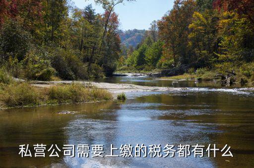 民營(yíng)企業(yè)需要地稅什么服務(wù)，私營(yíng)公司需要上繳的稅務(wù)都有什么