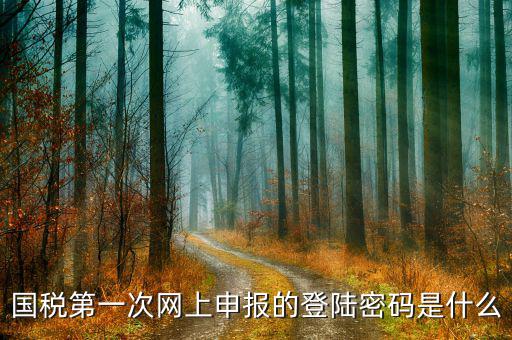 廣州國稅官網(wǎng)登錄密碼是什么，稅務(wù)局網(wǎng)站的登入賬戶初始密碼是什么