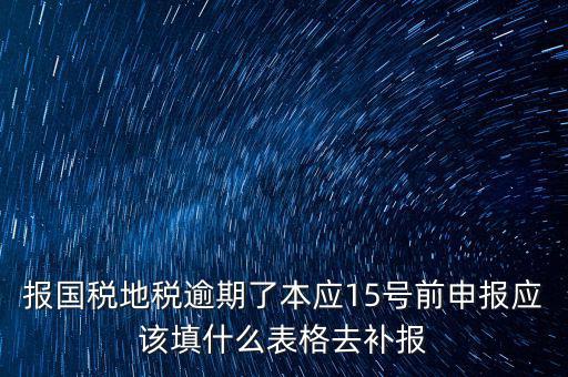 補錄國地稅信息都錄什么，報國稅地稅逾期了本應(yīng)15號前申報應(yīng)該填什么表格去補報