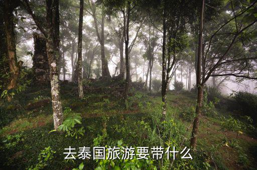 稅務(wù)局的信仰是什么，道德模范有哪些