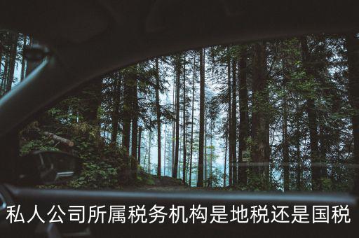 個(gè)人開企業(yè)交什么地稅局，私人公司所屬稅務(wù)機(jī)構(gòu)是地稅還是國稅
