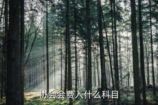 行業(yè)協(xié)會(huì)會(huì)費(fèi)開(kāi)什么票，交行業(yè)協(xié)會(huì)會(huì)費(fèi)應(yīng)入哪個(gè)科目
