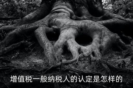 一般納稅人認(rèn)證是什么，一般納稅人資格證什么
