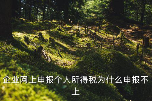 為什么稅務(wù)申報(bào)不了了，為什么申報(bào)不上