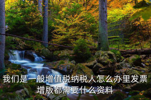 發(fā)票增版申需要什么意思，我們是一般增值稅納稅人怎么辦里發(fā)票增版都需要什么資料
