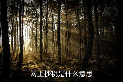 什么是網(wǎng)上抄報(bào)稅，抄稅和報(bào)稅是什么意思 應(yīng)該怎么做呢