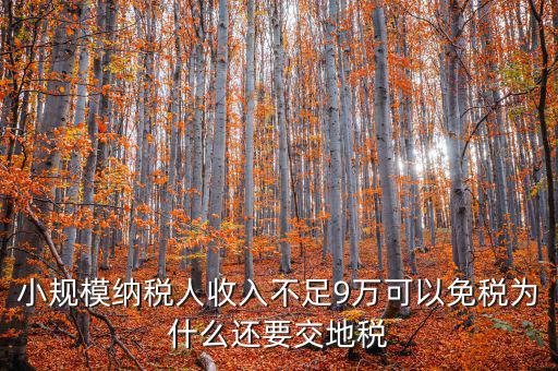 為什么納地稅，為什么要規(guī)定納稅地點