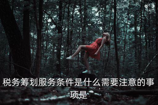 稅務(wù)籌劃服務(wù)條件是什么需要注意的事項是