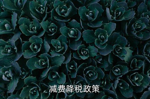 做好6項(xiàng)減稅政策的內(nèi)容是什么，減費(fèi)降稅政策
