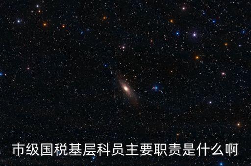 基層國(guó)稅辦公室做什么，請(qǐng)問國(guó)稅局基層分局科員縣域主要負(fù)責(zé)什么工作