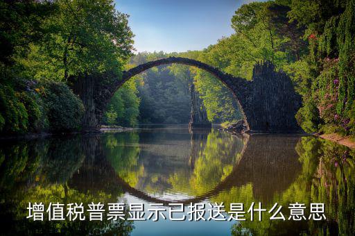 什么是報(bào)送報(bào)告，什么是報(bào)送審計(jì)