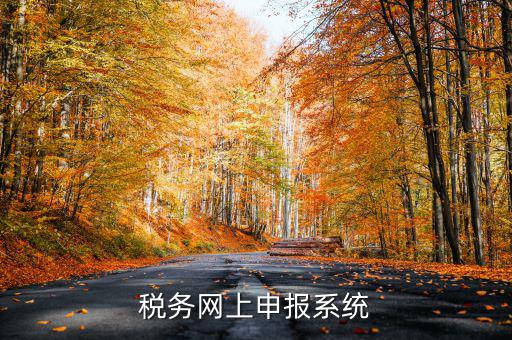 什么是稅收網(wǎng)報軟件，稅務(wù)網(wǎng)上申報系統(tǒng)