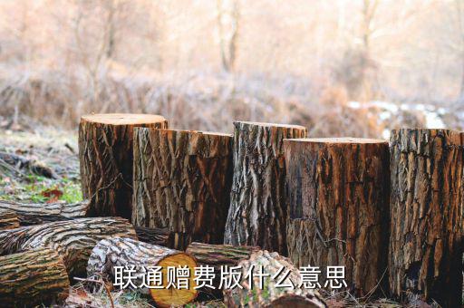 聯通贈費版什么意思