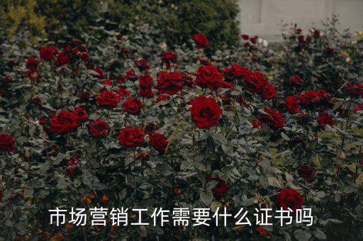 市場(chǎng)營(yíng)銷工作需要什么證書嗎