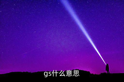 什么是gs系統(tǒng)，gs什么意思