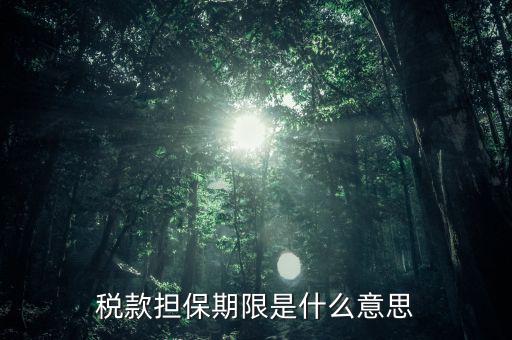 納稅擔(dān)保人什么意思，稅款擔(dān)保期限是什么意思