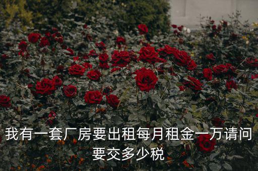 個人租廠房要交什么稅，我有一套廠房要出租每月租金一萬請問要交多少稅