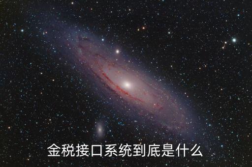 金稅售后是做什么的，鞍山金稅科技有限公司是干什么工作