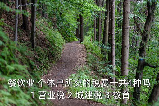 個體餐飲業(yè)交什么稅，餐飲業(yè) 個體戶所交的稅費(fèi)一共4種嗎 1 營業(yè)稅 2 城建稅 3 教育