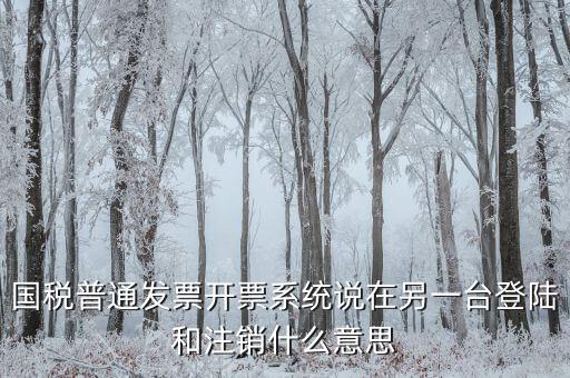 國(guó)稅普通發(fā)票開(kāi)票系統(tǒng)說(shuō)在另一臺(tái)登陸和注銷(xiāo)什么意思