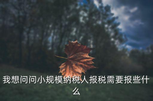 小規(guī)模國稅申報些什么，小規(guī)模納稅人國稅需要報什么資料