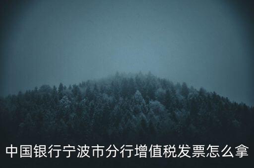 寧波國稅過發(fā)票要帶什么，浙江地區(qū)公司首次拿發(fā)票去國稅局需要帶什么證件