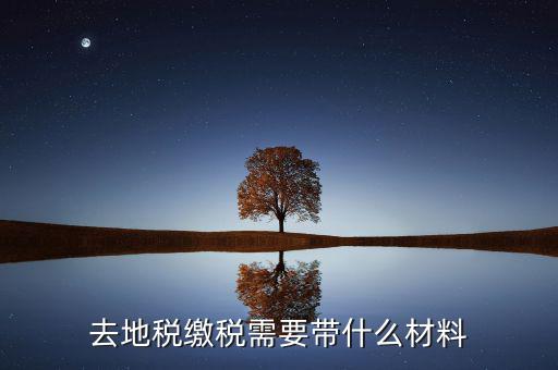 地稅局定稅要拿什么，去地稅局報稅需要拿什么東西