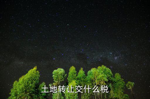 出讓土地交什么稅，土地出讓要交什么稅