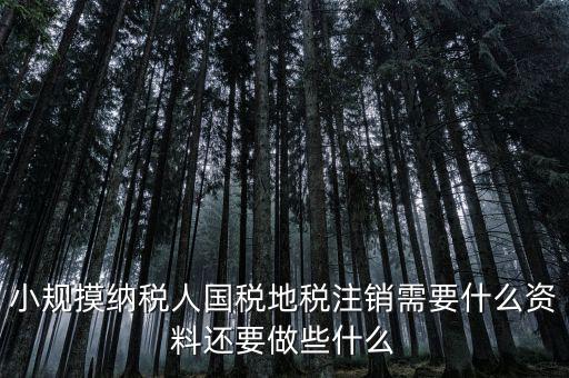 國地稅注銷需要什么，小規(guī)摸納稅人國稅地稅注銷需要什么資料還要做些什么