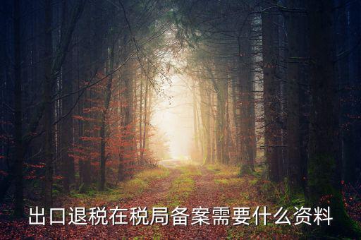 出口退稅備份什么格式，出口退稅單證備案