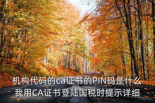 國稅ca證書登錄 密碼是什么，國稅第一次網(wǎng)上申報(bào)的登陸密碼是什么