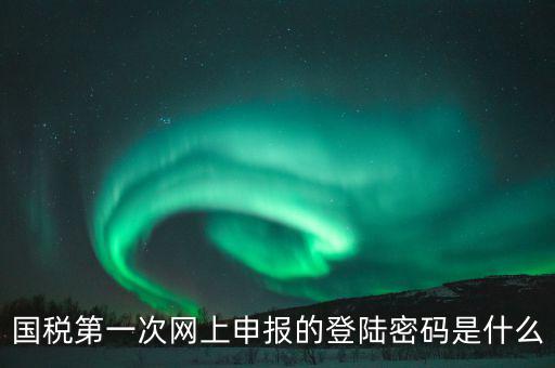 杭州國稅申報密碼是什么意思，國稅第一次網(wǎng)上申報的登陸密碼是什么