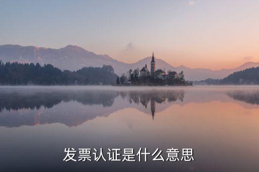 發(fā)票認(rèn)證是什么意思