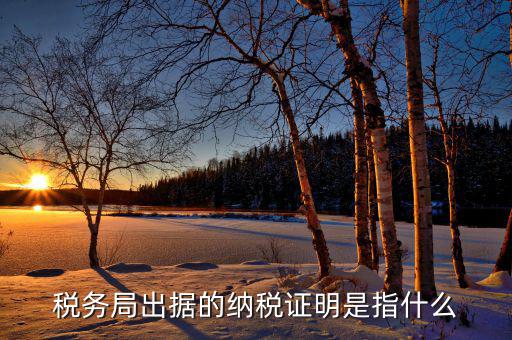什么是稅收證明，什么是個(gè)人納稅證明