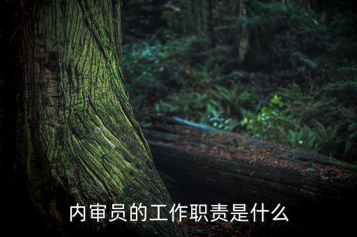 督察內(nèi)審是什么工作，內(nèi)審監(jiān)察主要工作職能