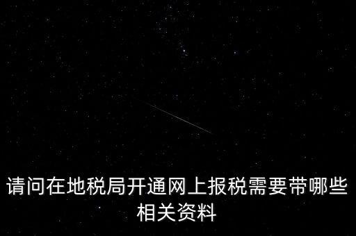 網(wǎng)上申報地稅需要什么，一般納稅人網(wǎng)上申報地稅上要報哪些稅