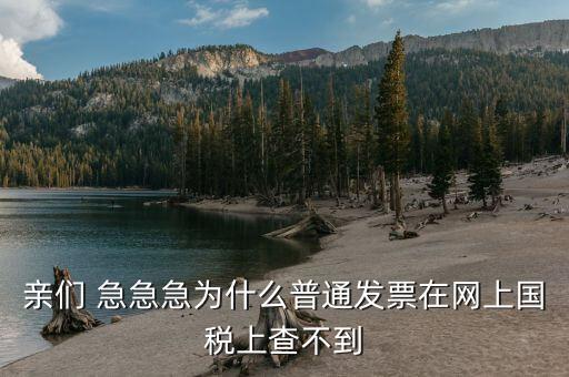 為什么發(fā)票在國(guó)稅網(wǎng)，親們 急急急為什么普通發(fā)票在網(wǎng)上國(guó)稅上查不到