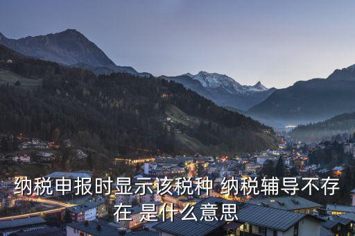 納稅輔導(dǎo)是什么意思，納稅申報時顯示該稅種 納稅輔導(dǎo)不存在 是什么意思