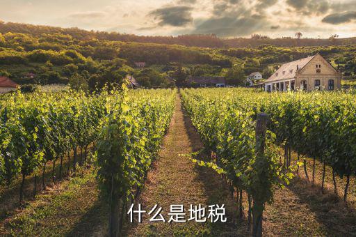 地稅和什么有關(guān)，什么是地稅