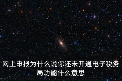 網(wǎng)上申報為什么說你還未開通電子稅務局功能什么意思