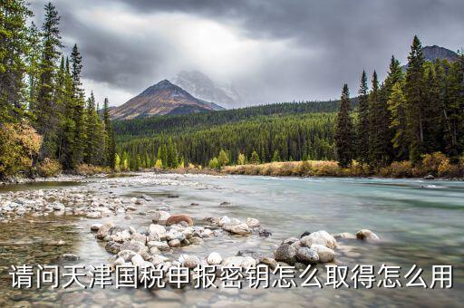 天津手機報稅app密碼是什么意思，請問天津國稅申報密鑰怎么取得怎么用