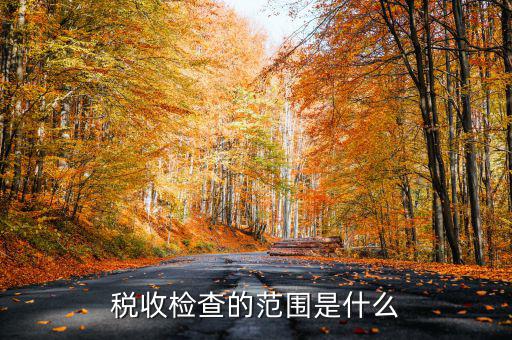 在地稅局需要檢查什么地方，稅務(wù)年檢是什么地方的來檢查