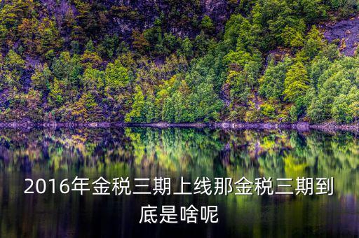 金三稅是指什么，金稅三期是什么意思