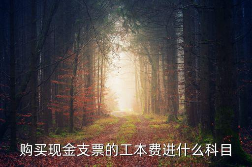 發(fā)票工本費什么科，買支票的工本費和手續(xù)費分別進什么科目