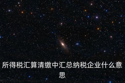 什么匯總納稅企業(yè)所得稅，關于企業(yè)所得稅匯總繳納