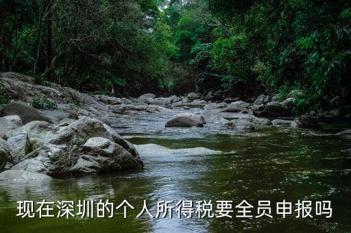 深圳為什么要個稅申報，外地企業(yè)如何在深圳為什么還要繳納個人所得稅1