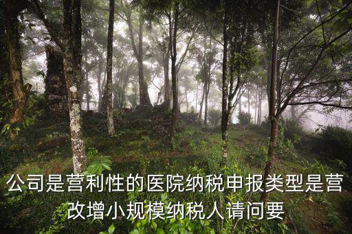 營(yíng)改增醫(yī)院用什么發(fā)票，營(yíng)改增認(rèn)定的一般納稅人使用什么發(fā)票