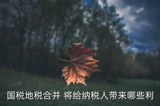 國地稅合作給地方帶來什么，國地稅合并后將帶來哪些變化對于財務(wù)工作人員有哪些便利  搜